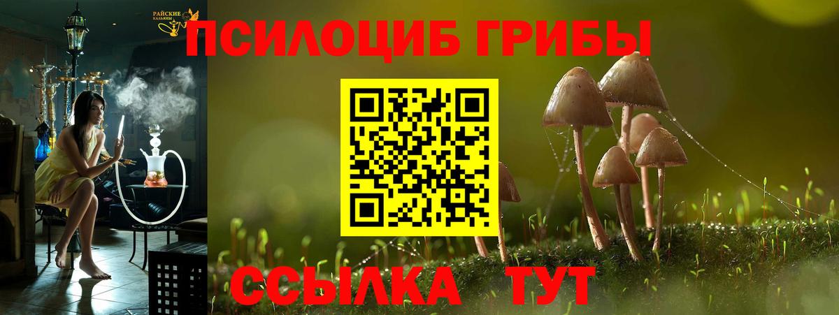 Псилоцибиновые грибы мухоморы  Вход с VPN  Первоуральск 